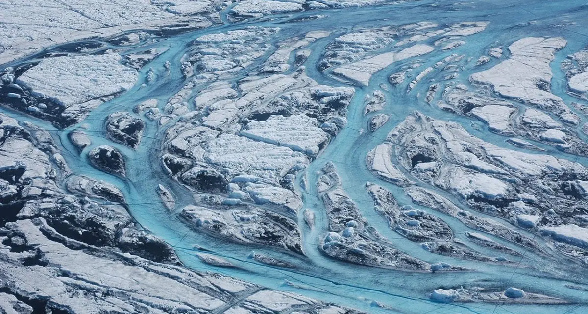 In Groenlandia il ghiaccio diventa scuro e minaccia il mondo. Tutto per colpa di un batterio