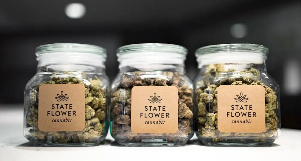 «Marijuana bene essenziale». San Francisco tiene aperta la filiera
