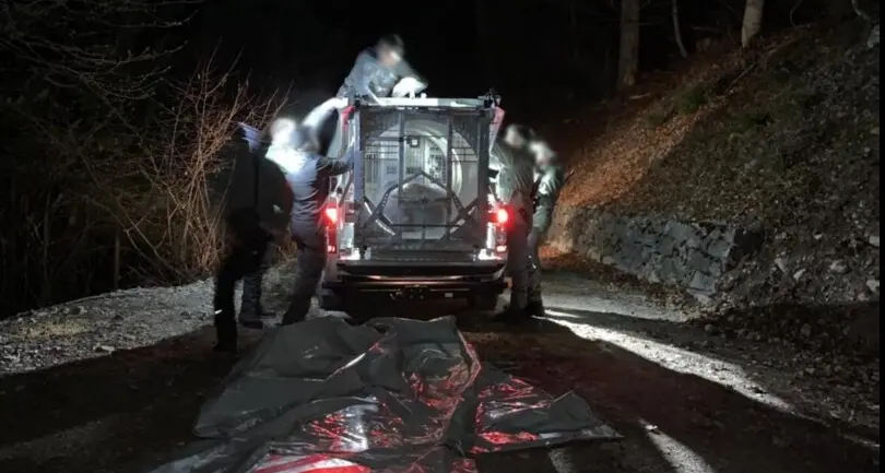 Catturata nella notte Jj4, l’orsa che ha ucciso il runner in Trentino
