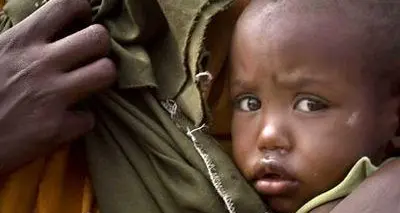 Miliardi di cavallette nel Corno d’Africa senza cibo in 20 milioni: lo ignoriamo?
