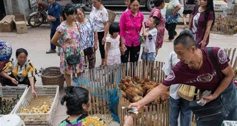 In Cina aumentano i divieti per proibire il consumo della carne di cani e gatti