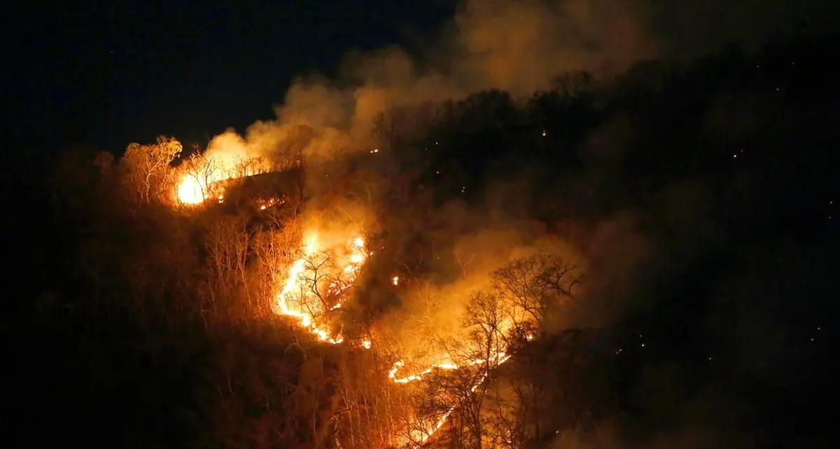 Amazzonia, il Brasile rifiuta 20 milioni di euro del G7 ma le foreste bruciano