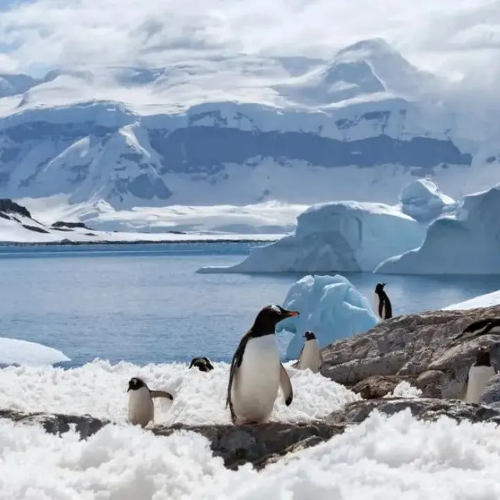 Antartide, la nave rompighiacio Italia raggiunge il punto più a sud: è record