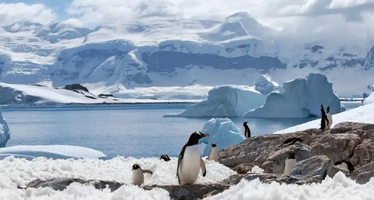 Antartide, la nave rompighiacio Italia raggiunge il punto più a sud: è record