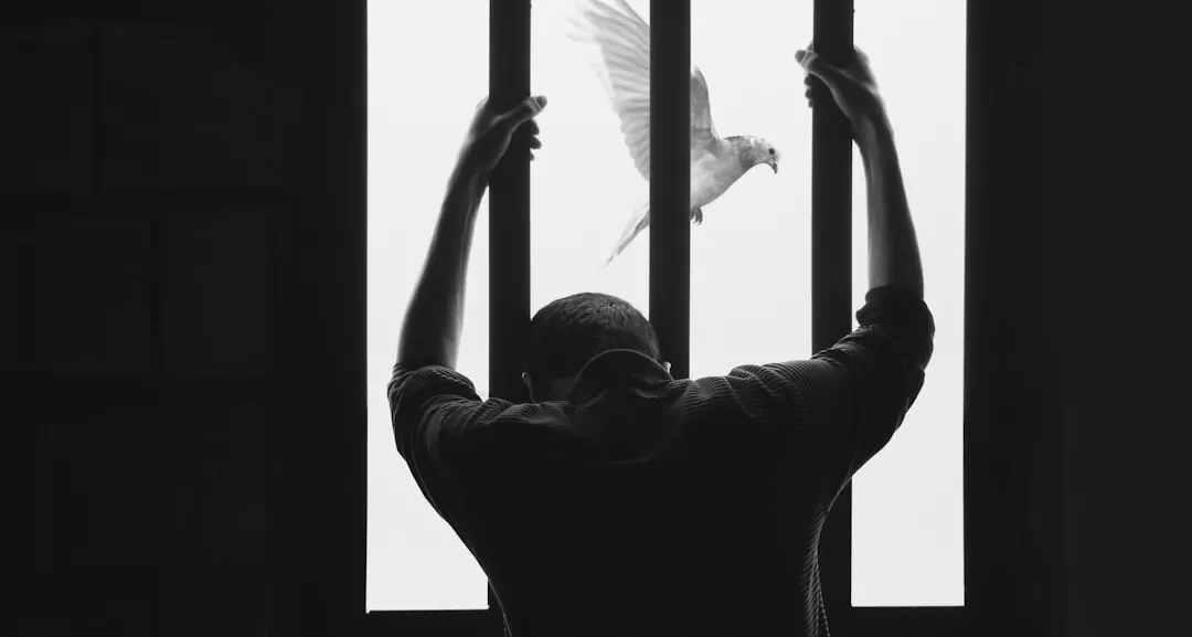 Troppi suicidi in carcere, i penalisti cosentini invocano “amnistia e indulto”