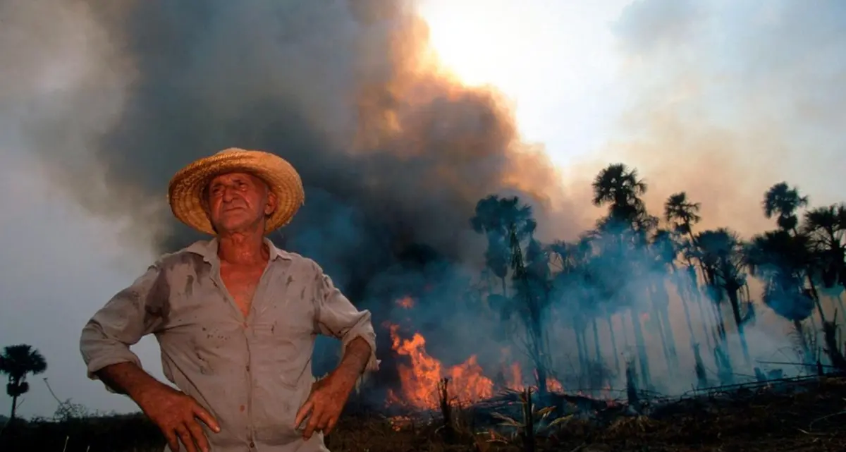 L'Amazzonia brucia: Bolsonaro manda l'esercito