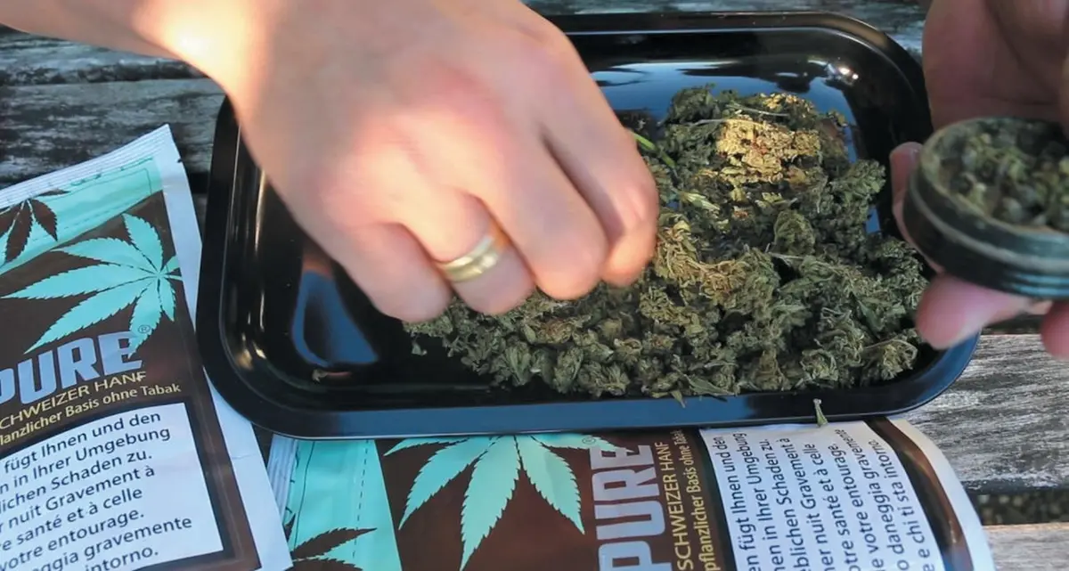 Cassazione: è reato vendere cannabis con efficacia drogante