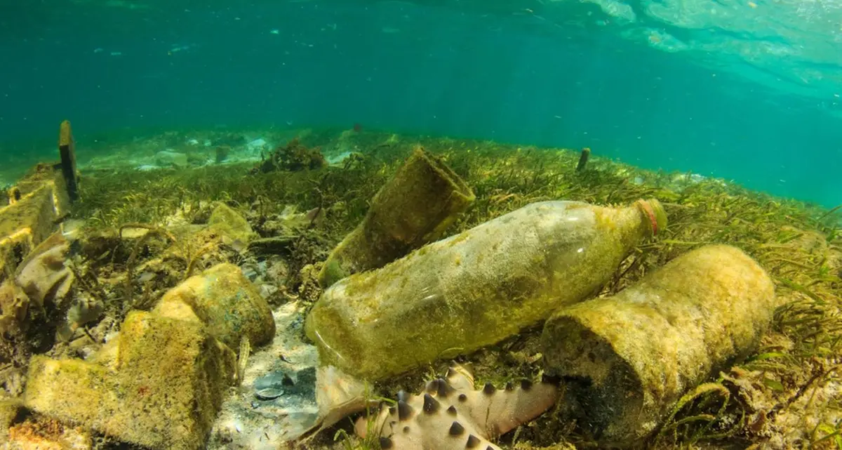 Il report di Goletta Verde: in mare milioni di tonnellate di plastica