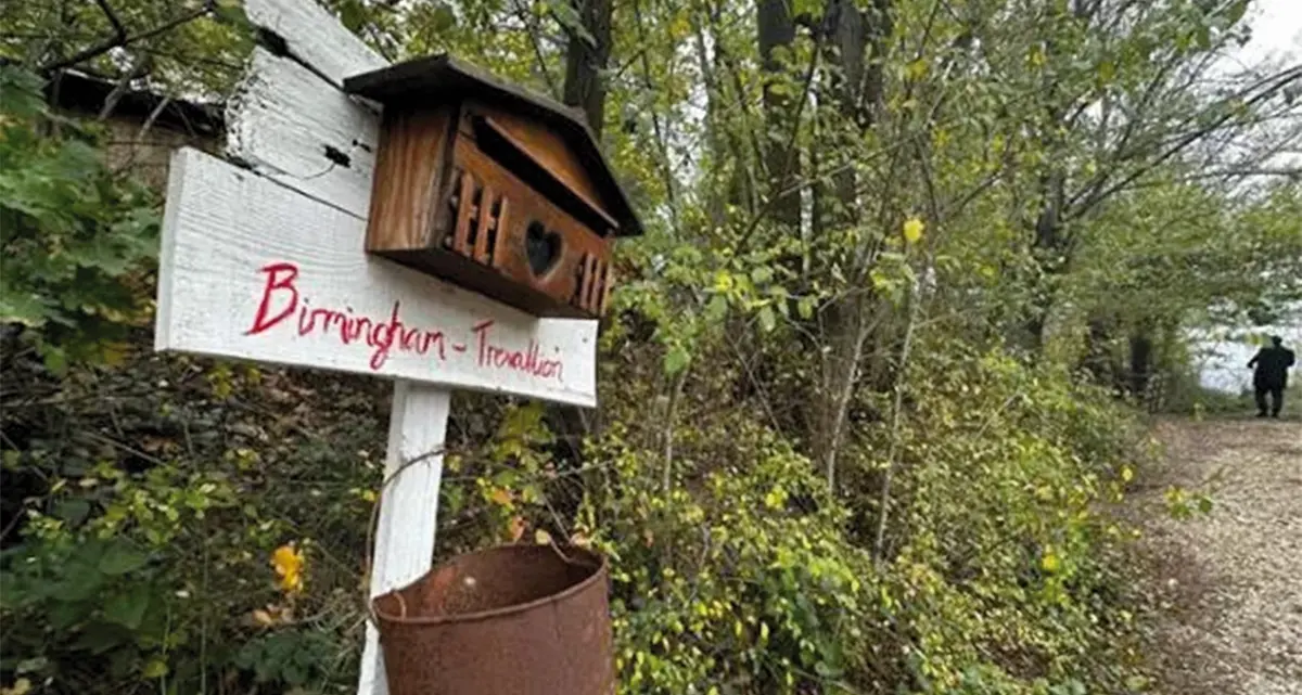 Dal “lupo” al “bosco”, cosa dicono gli atti sul caso Trevillion