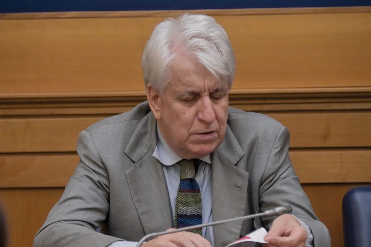 LUIGI MANCONI PRESIDENTE A BUON DIRITTO ONLUS , IMAGOECONOMICA