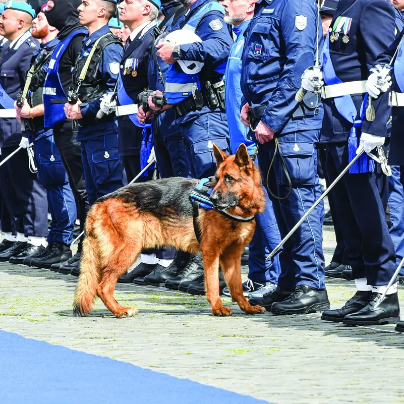 Il Dap chiede miracoli a chi lavora in carcere già oltre ogni limite