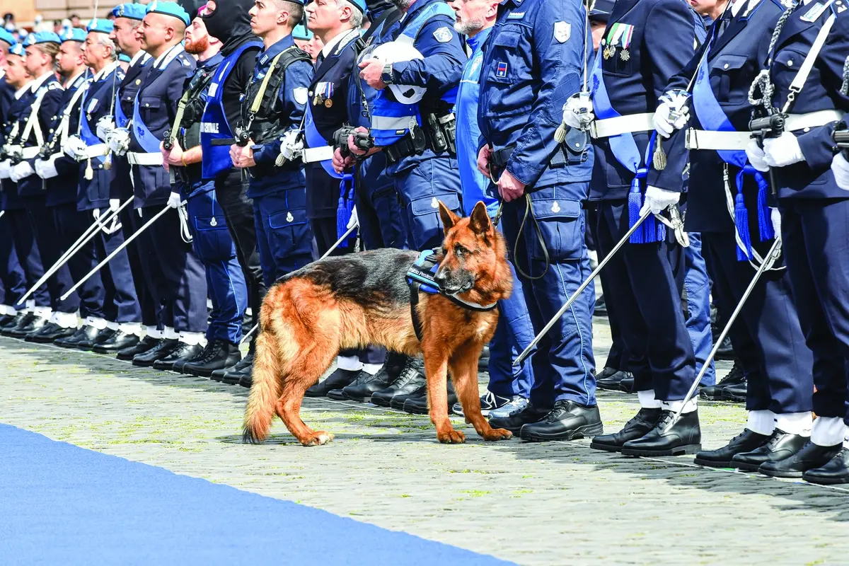 ANNIVERSARIO 208ESIMO ANNO POLIZIA PENITENZIARIA POLIZIOTTO POLIZIOTTI CANE CANI UNITA\\' CINOFILA AGENTE AGENTI PARATA , IMAGOECONOMICA