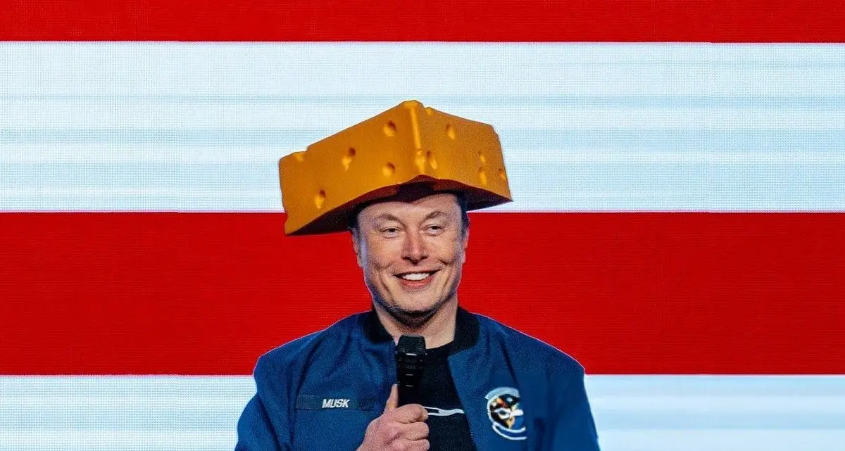 Elon Musk riduce la sua presenza a Washington: i risultati di Tesla preoccupano il tycoon