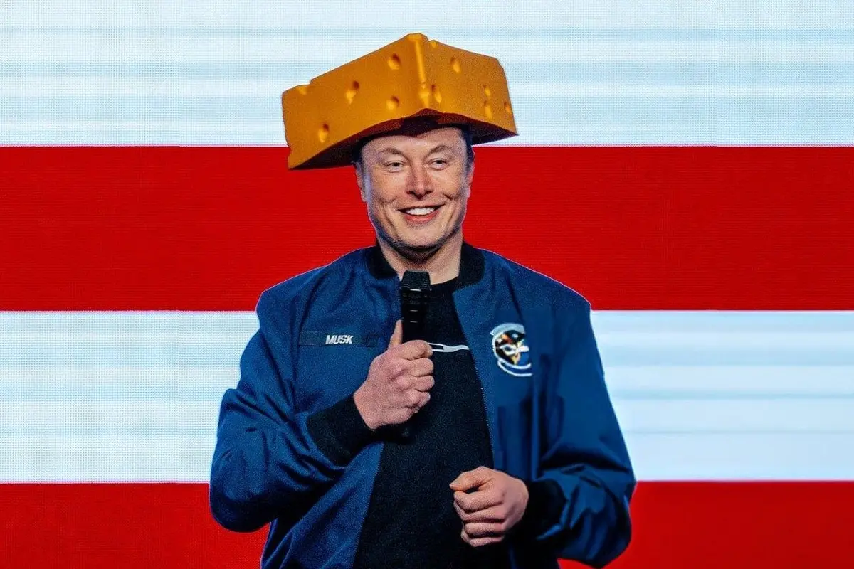 ELON MUSK AD TESLA , IMAGOECONOMICA