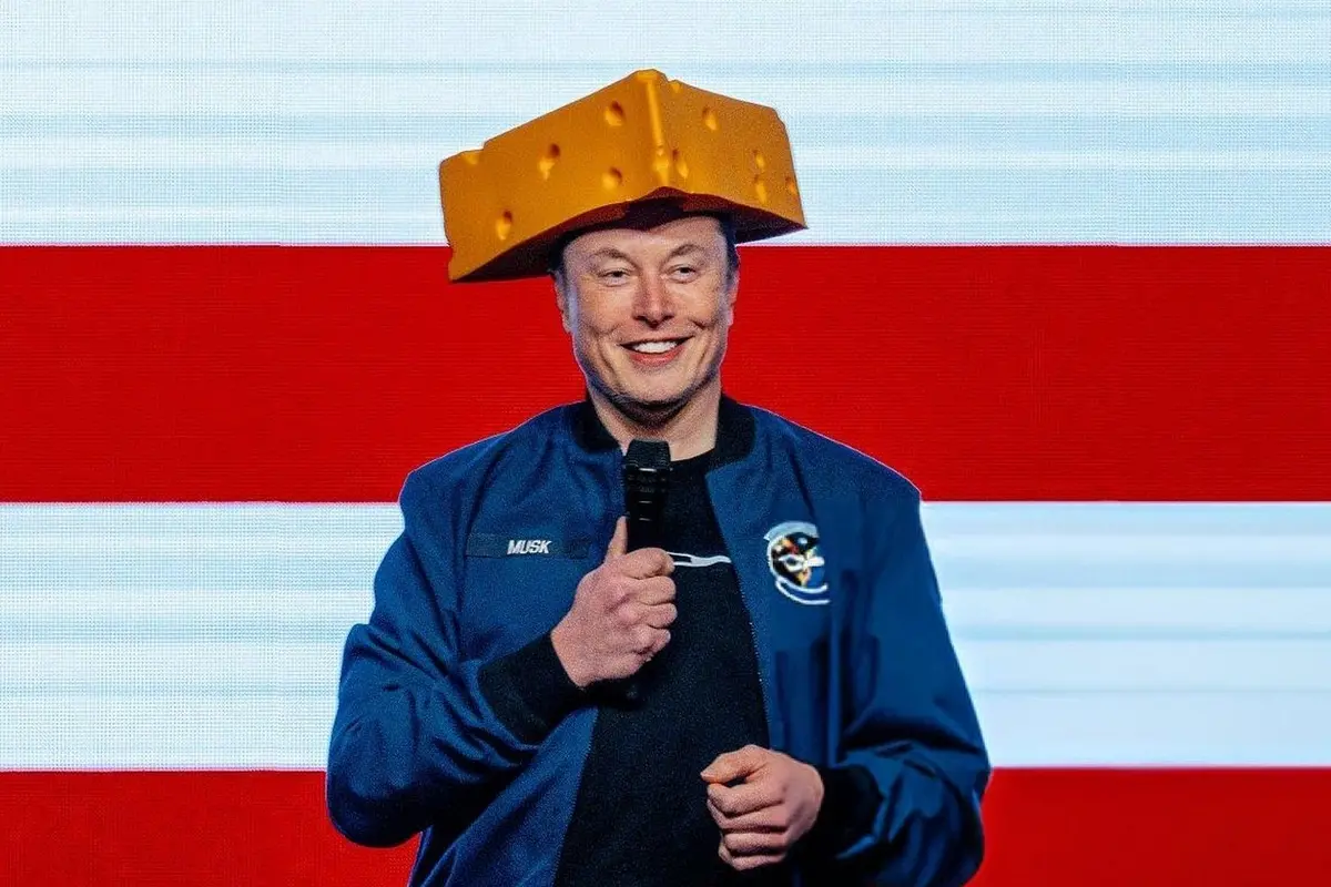 ELON MUSK AD TESLA , IMAGOECONOMICA