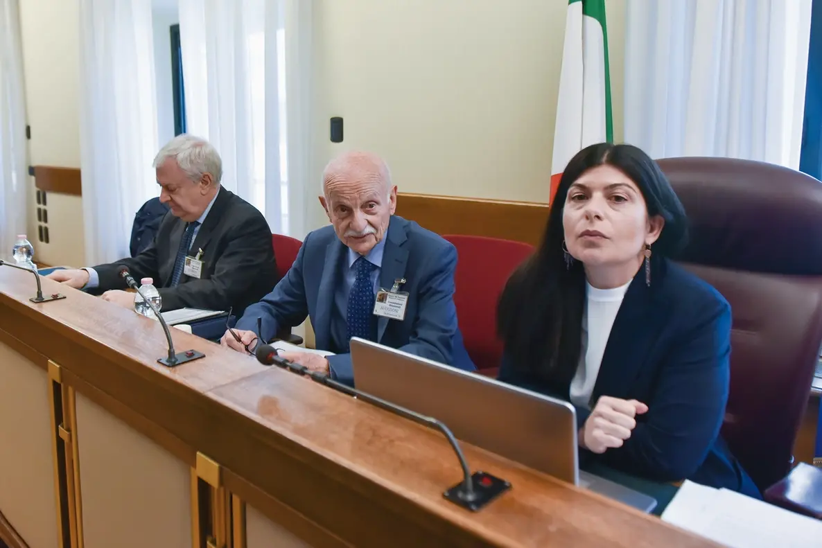 GIUSEPPPE DE DONNO COLONNELLO CARABINIERI IN CONGEDO, MARIO MORI GENERALE CARABINIERI IN CONGEDO, CHIARA COLOSIMO POLITICO , IMAGOECONOMICA