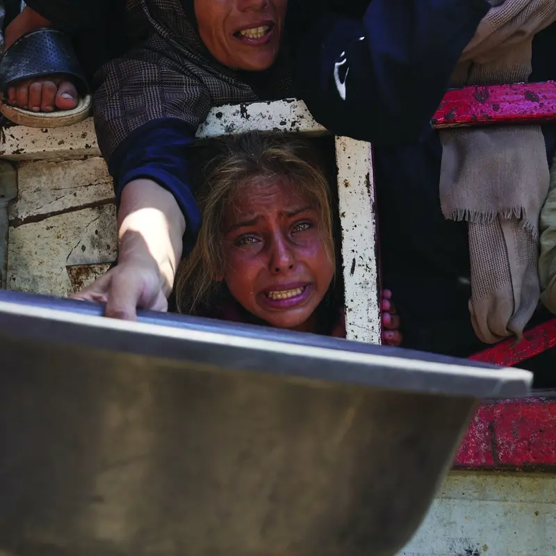 La lettera dei giuristi israeliani: «Il governo distribuisca il cibo»