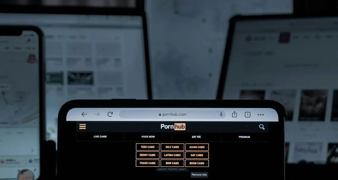 Siti porno, stop al libero accesso dal 12 novembre: bisognerà provare la maggiore età