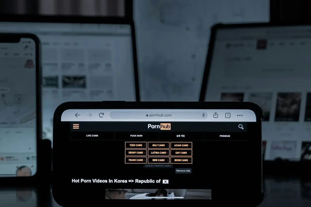 Siti porno, stop al libero accesso dal 12 novembre: bisognerà provare la maggiore età