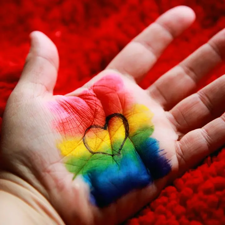 Figli con due madri, l’avvocato: «Coppie lesbo come quelle etero»