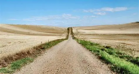 Riparte il cammino di Santiago, faticoso pellegrinaggio che gronda di umanesimo