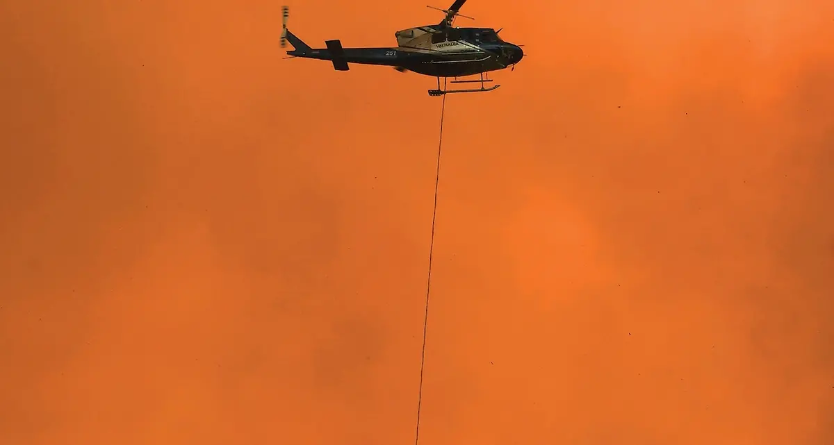 Emergenza incendi nel sud dell’Australia. Chiuse 600 scuole «È una catastrofe»