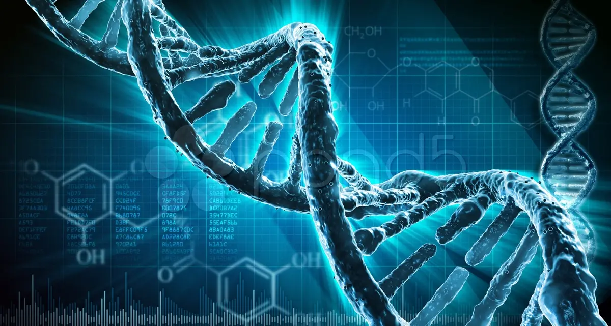 Il Dna, un romanzo di formazione