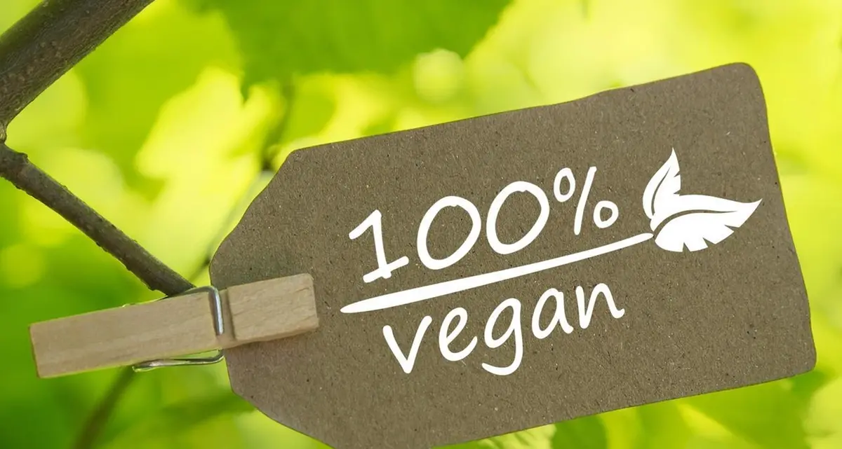 «Molto più che un’opinione» : dall’Inghilterra all’Italia la sentenza che sancisce il diritto alla dieta vegana