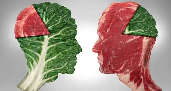 Perché odiamo i vegani?