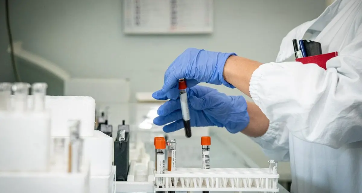 Nuova minaccia dalla Cina: scoperto un virus potenzialmente pandemico