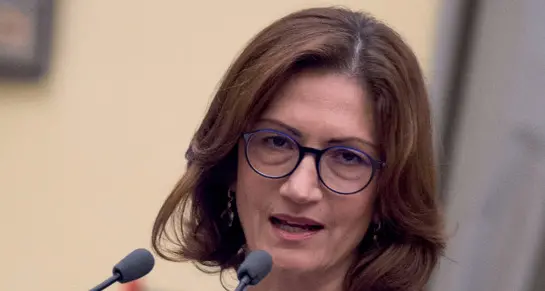 Gelmini: «Equo compenso e meno tasse al ceto medio»