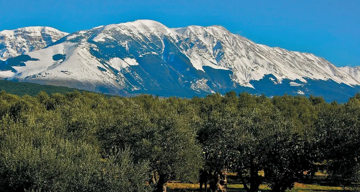 Il clima cambia anche la tavola. Ulivo ai monti, avocado al Sud