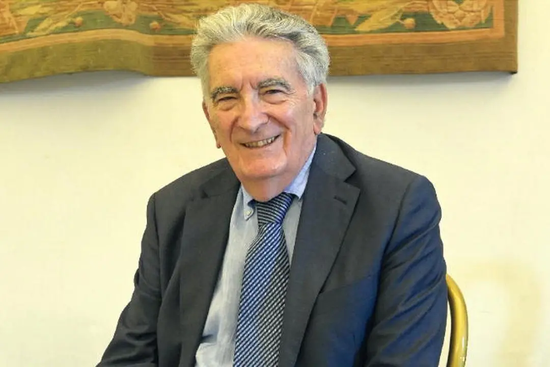 Il professore Gianfranco Pasquino