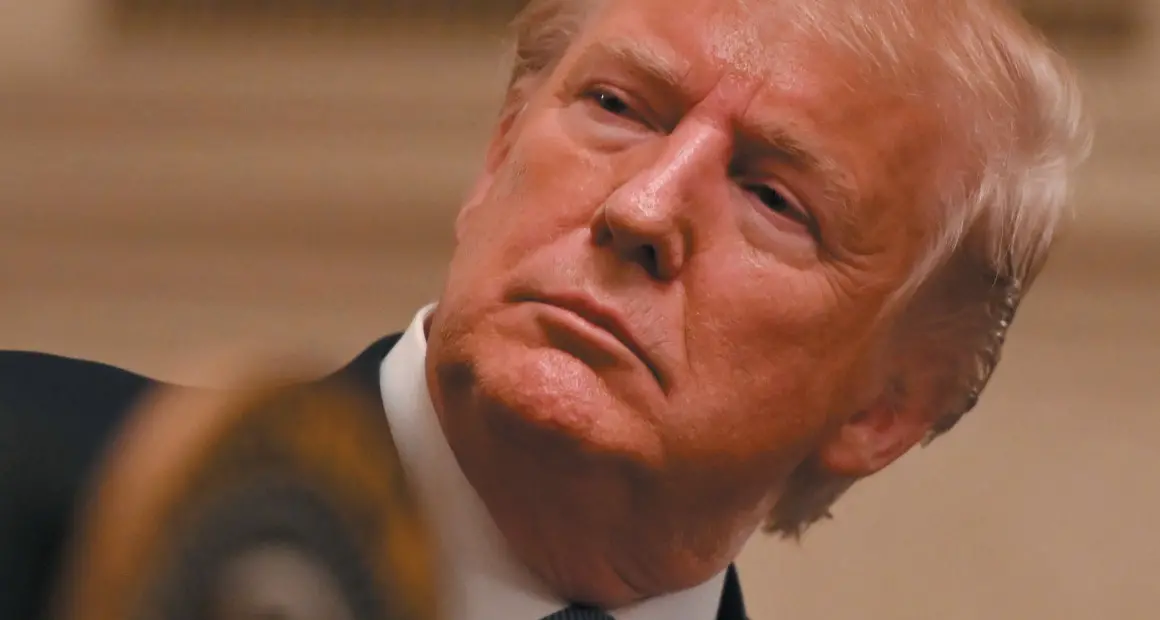 Il giudice di New York: i redditi di Trump devono essere pubblici