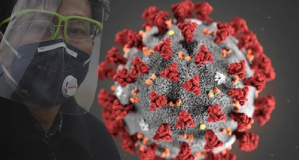 \"I pazienti guariti dal Covid sviluppano anticorpi contro il virus: è un'ottima notizia\"