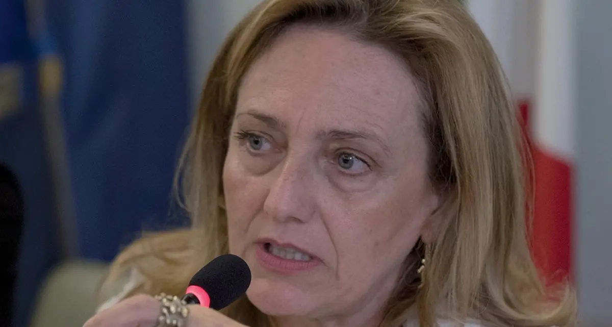 «Bandi gratis, schiaffo ai professionisti»