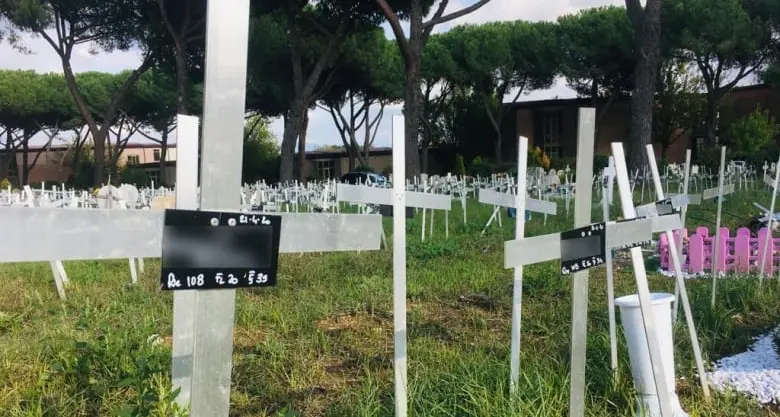 «Il cimitero dei feti è una violenza: contro le donne e contro la legge»