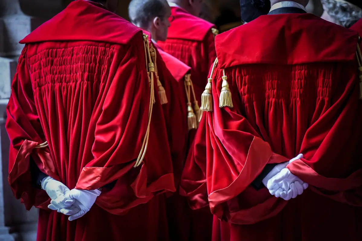 magistrato laurea