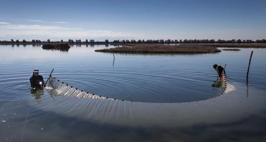 La nuova agenzia della Laguna di Venezia va messa sotto il controllo della Presidenza del Consiglio