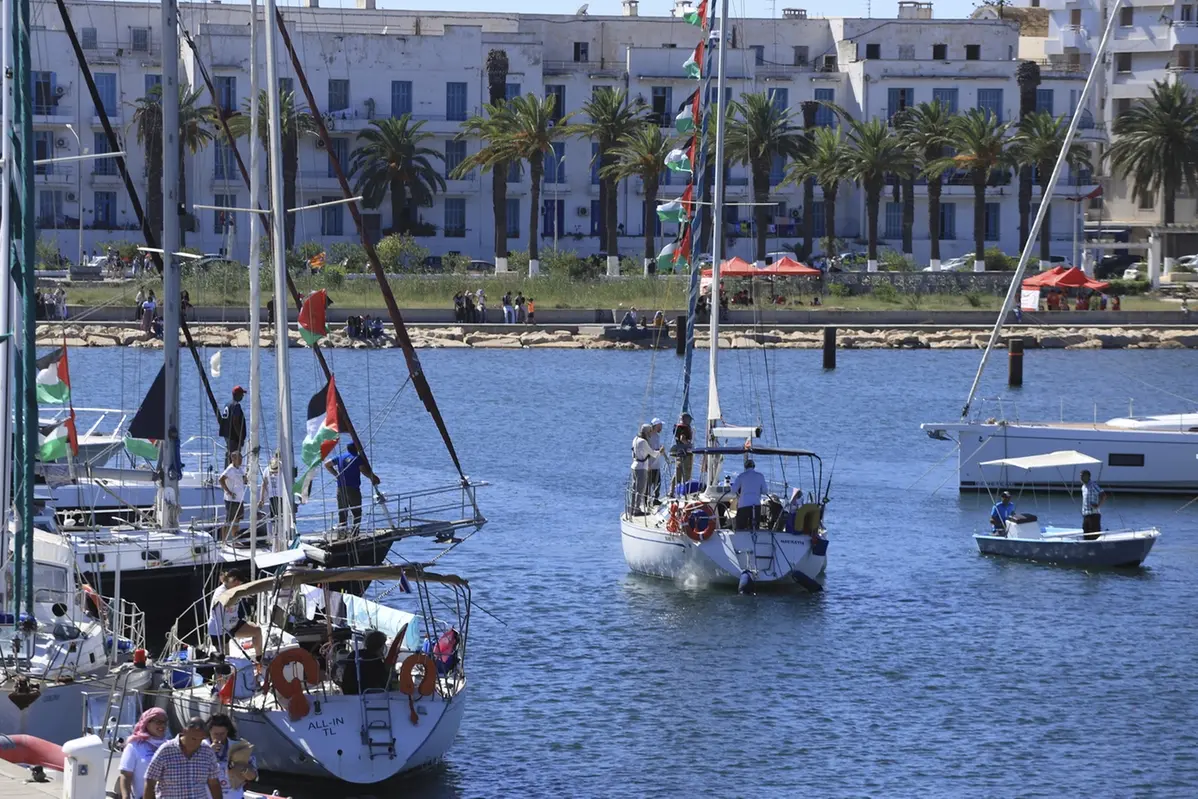 Flotilla , APN