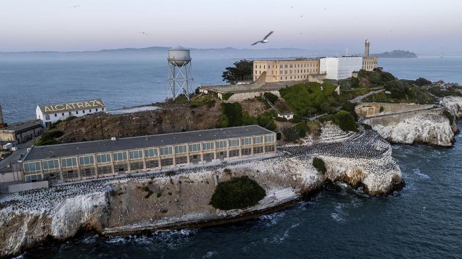 Florida, stop al centro “Alcatraz degli alligatori” voluto da Trump